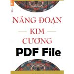 nang doan kim cuong pdf