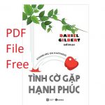 tinh co gap hanh phuc pdf