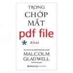 trong chop mat pdf