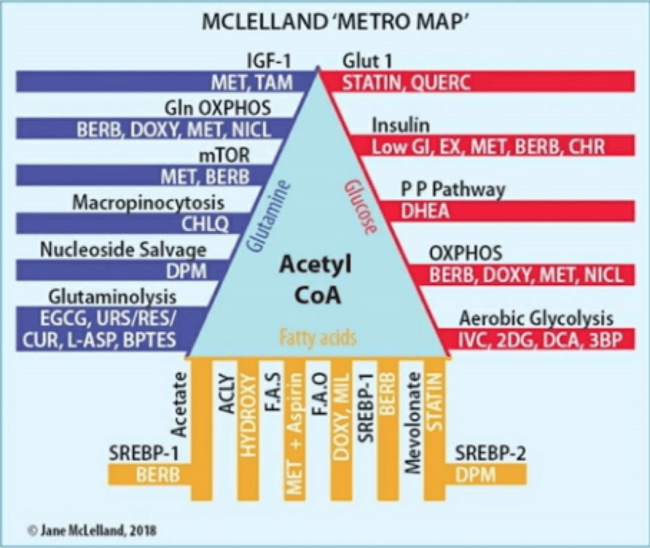 Jane McLelland metro map
